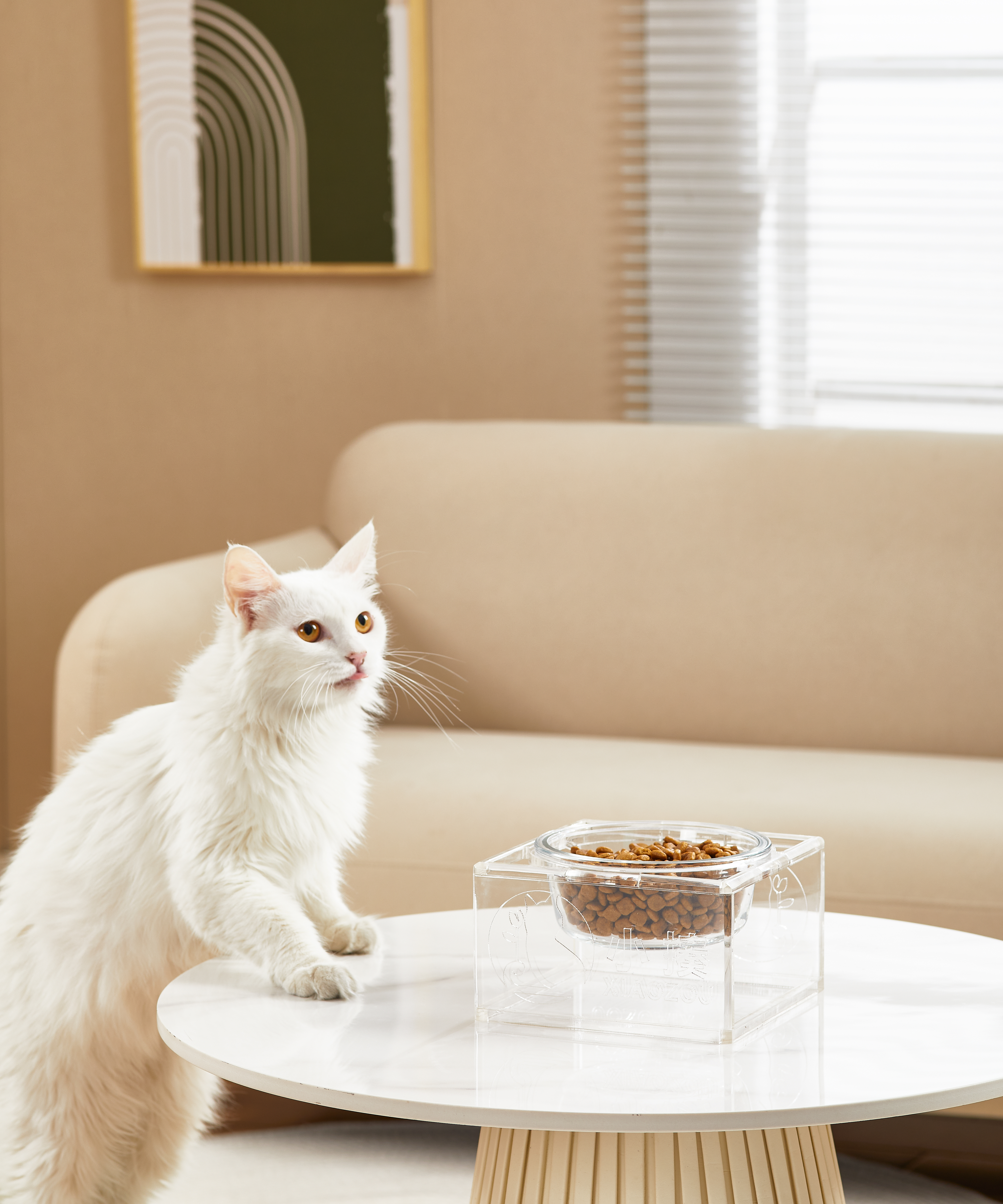 东莞深圳宠物用品摄影 亚马逊电商产品摄影 静物产品摄影